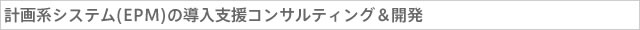 計画系システム(EPM)の導入支援コンサルティング＆開発