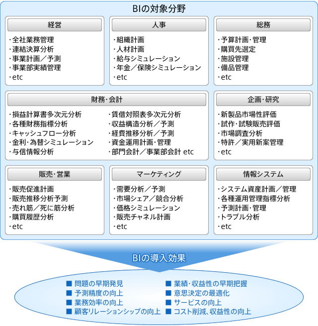 BIの対象分野